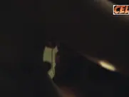 Elizabeth Olsen Great Scenes