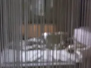 Georgina Rylance as Suza - 7 Seconds (2005)