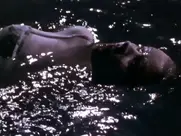 Petra Morzé - Stille Wasser (1997)