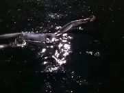 Petra Morzé - Stille Wasser (1997)