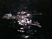 Petra Morzé - Stille Wasser (1997)