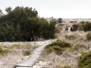 Kristen Bell as Tricia - Stuck in Love. (2012)