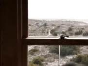 Kristen Bell as Tricia - Stuck in Love. (2012)