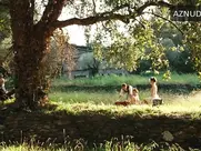 Christa Theret Beautiful Redhead