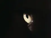 Shower scene - 2 girls - Unhinged 1982