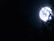 Johanna Marlowe as Marjorie - Bad Moon (1996)