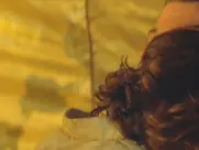 Johanna Marlowe as Marjorie - Bad Moon (1996)