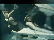 Lydia Lunch Fingered 1986 3