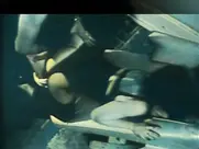 Lydia Lunch Fingered 1986 3