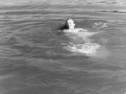 Les amants de Verone (1948) Anouk Aimee nude