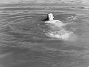 Les amants de Verone (1948) Anouk Aimee nude