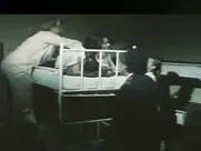 Elizabeta Đorevska - Žene u zatvoru 1985