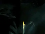 Rodleen Getsic - The Bunny Game 2011