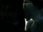 Rodleen Getsic - The Bunny Game 2011