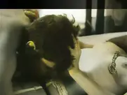 Idalmis Del Risco - Culpa 1993 cut