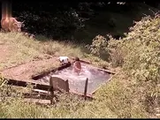 Ljiljana Blagojević - Zavet 2007