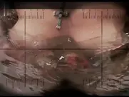 Ljiljana Blagojević - Zavet 2007