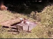 Ljiljana Blagojević - Zavet 2007