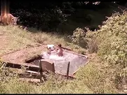 Ljiljana Blagojević - Zavet 2007