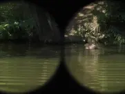 Aleksandra Rukavina - Usta puna zemlje 2023