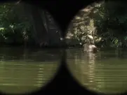 Aleksandra Rukavina - Usta puna zemlje 2023