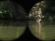 Aleksandra Rukavina - Usta puna zemlje 2023