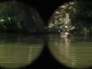 Aleksandra Rukavina - Usta puna zemlje 2023