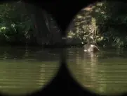 Aleksandra Rukavina - Usta puna zemlje 2023