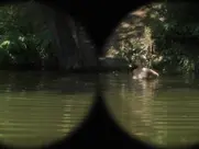 Aleksandra Rukavina - Usta puna zemlje 2023