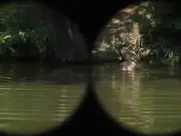 Aleksandra Rukavina - Usta puna zemlje 2023