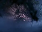 Hope North as Esther - The Curse (1987)