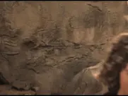 Elodie Yung as Hathor - Gods of Egypt (2016)