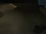 Snežana Bogdanović - Moj brat Aleksa 1991