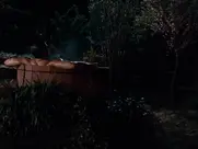 Tia Carrere - Showdown in Little Tokyo (1991)