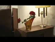 Bérénice Bejo - OSS 117: Cairo, Nest of Spies (2006)