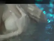 Sherlyn Chopra Naked Ambition