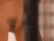 Nude girls in the Locker Room(Playboy's Wet and Wild)