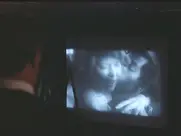 Ellen Burstyn as Alex Hacker - The Ambassador (1984)