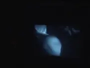 Ellen Burstyn as Alex Hacker - The Ambassador (1984)