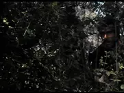 Inquisition - Skinny dipping + clothes stolen scene