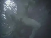 Skinny dipping scene from Zombie Lake