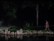 Roxanne Baird, Adrienne Barbeau - Open House (1987)