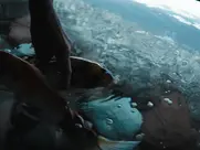 Diane Kruger - Les Linceuls (2024)