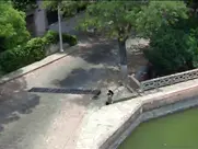 Grace Renat - Estas ruinas que ves (1979)