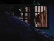 Katarina Radivojević - Zona Zamfirova 2002