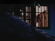 Katarina Radivojević - Zona Zamfirova 2002