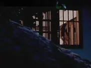 Katarina Radivojević - Zona Zamfirova 2002