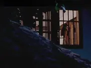 Katarina Radivojević - Zona Zamfirova 2002