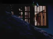 Katarina Radivojević - Zona Zamfirova 2002