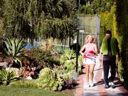Cheryl Hines in Suburgatory S01E03, S02E01 (2011–2012)